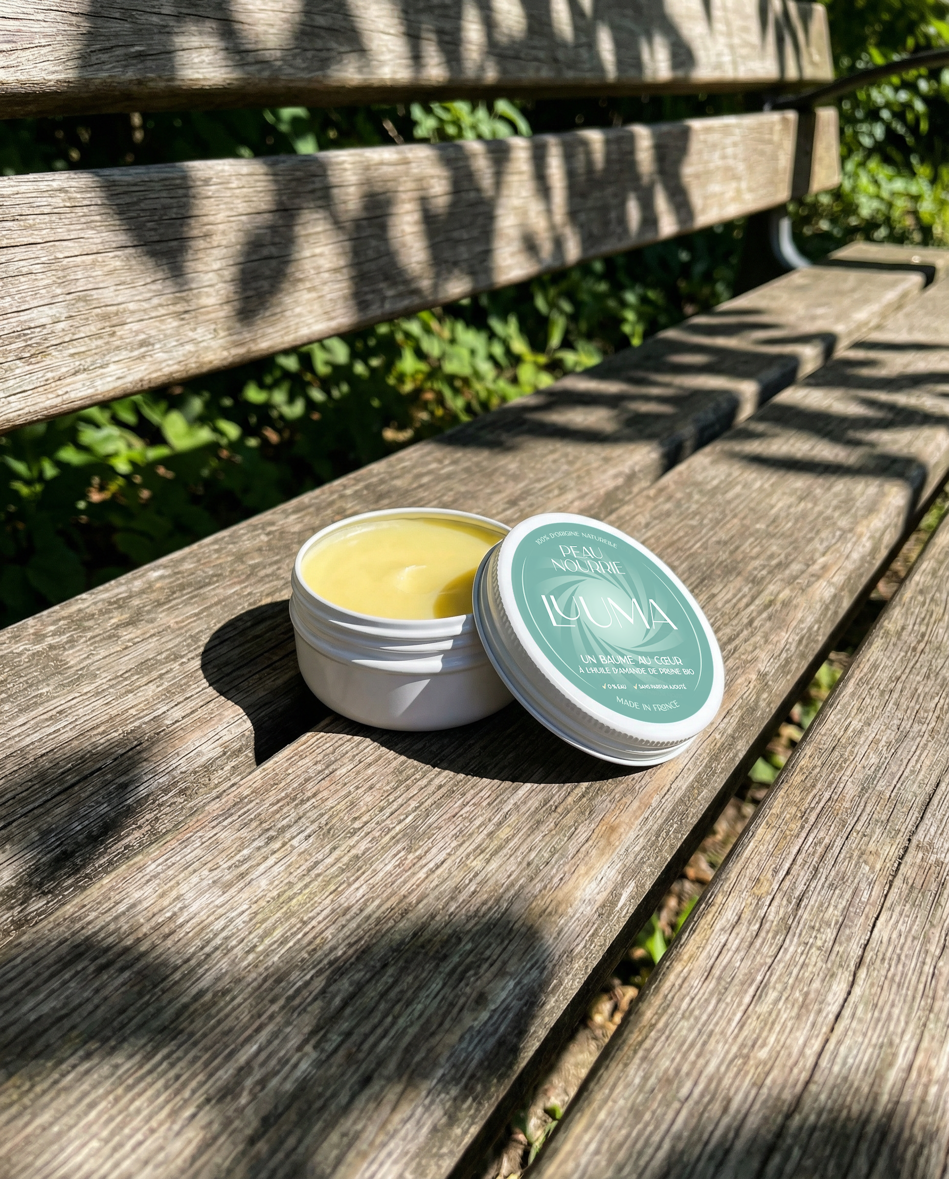 Un baume est sur un banc en bois