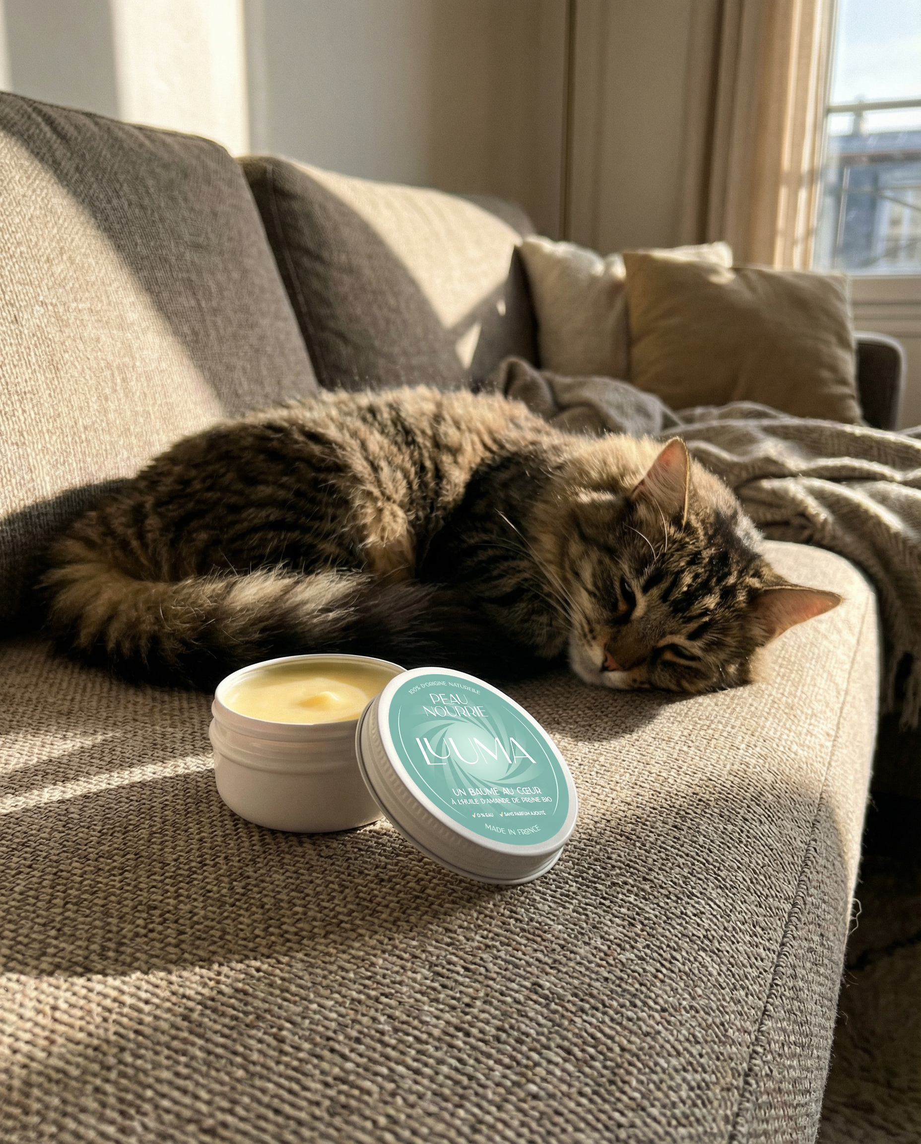 Un chat dort à côté d'un baume